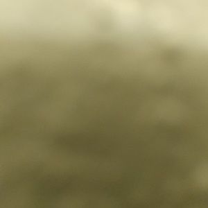 Meet your Posher, Dee